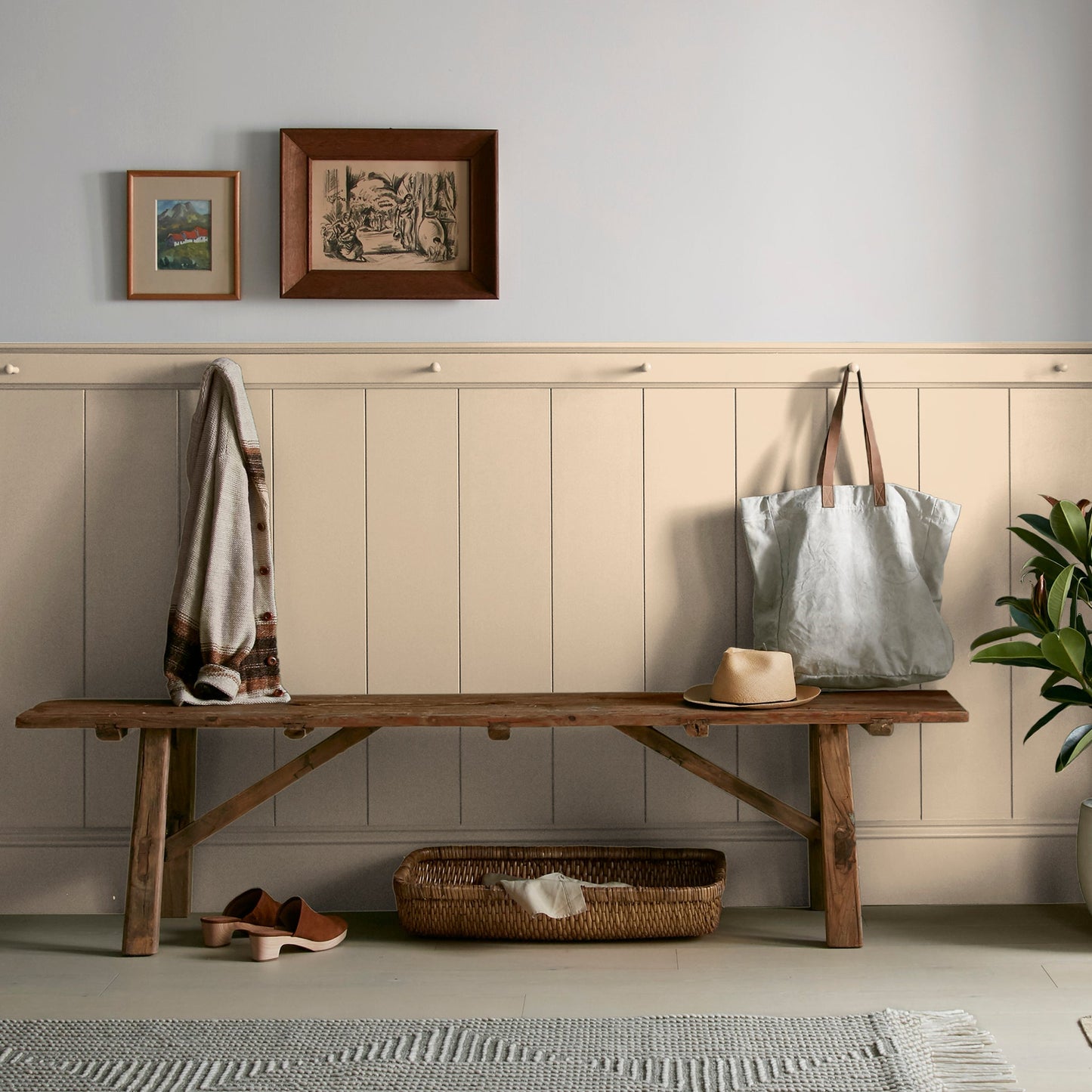 Ambient Light -  Classic Interior Paint