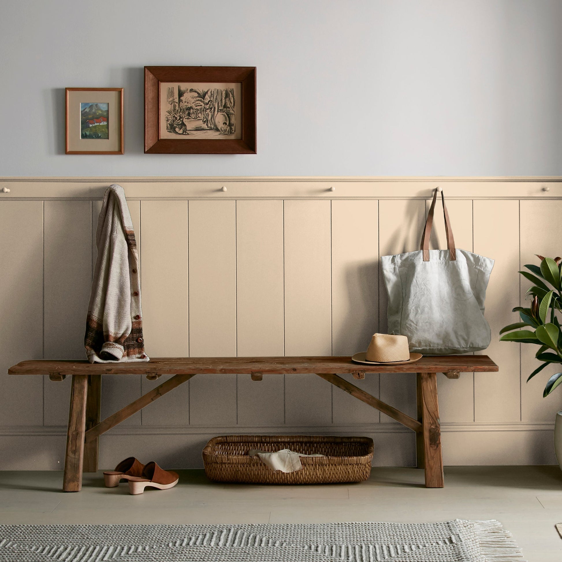 Ambient Light -  Classic Interior Paint