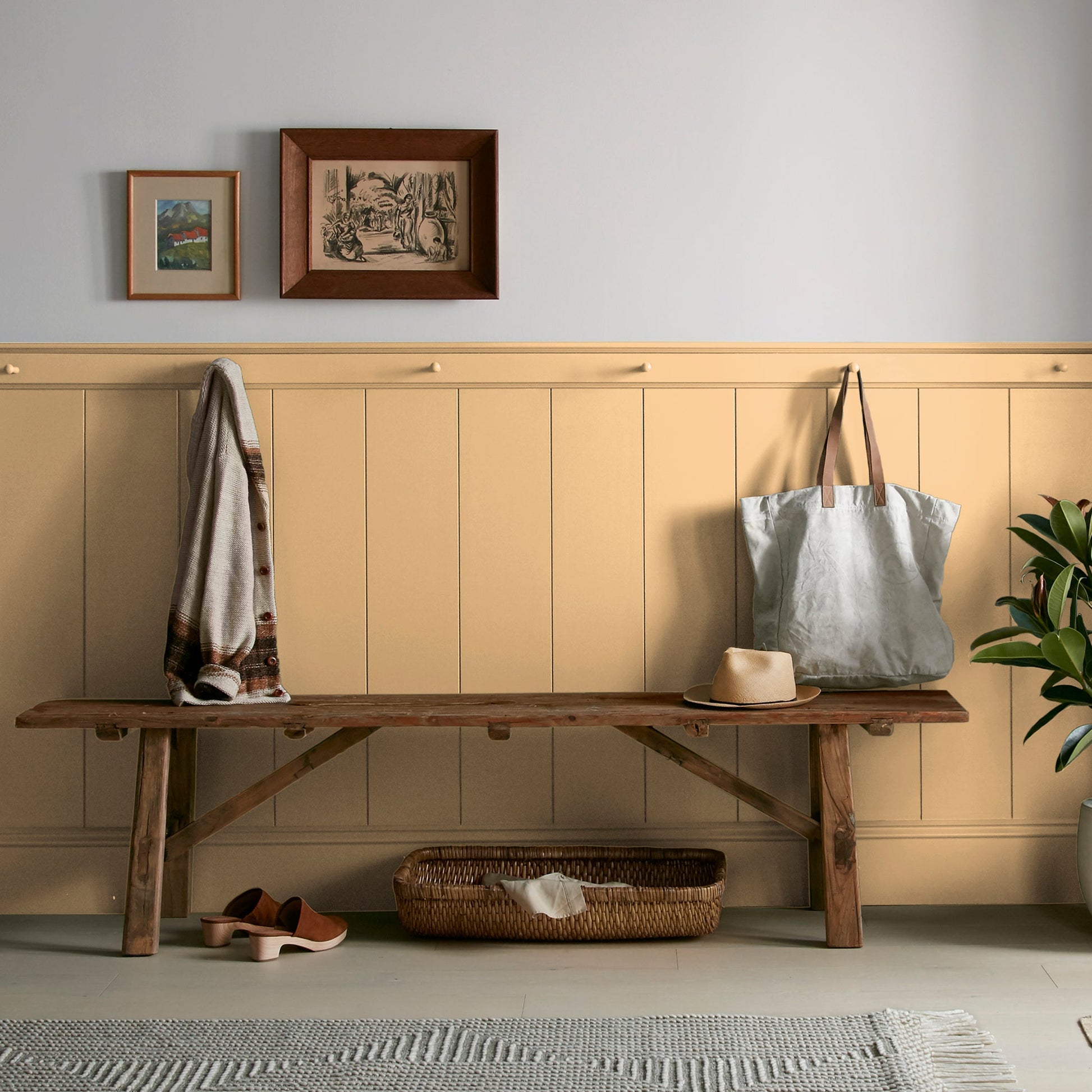 Amber  -  Premium Interior Paint