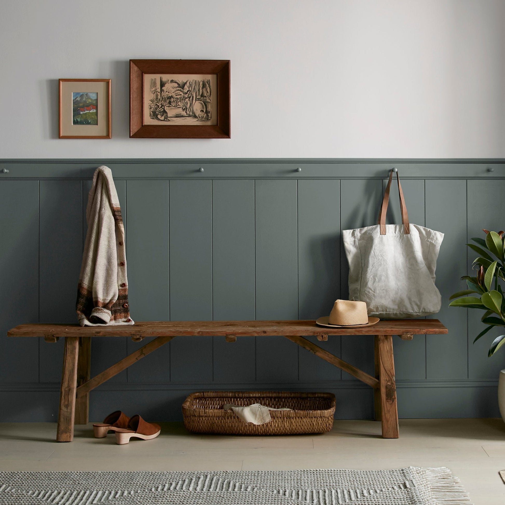 1905 Green  -  Premium Interior Paint