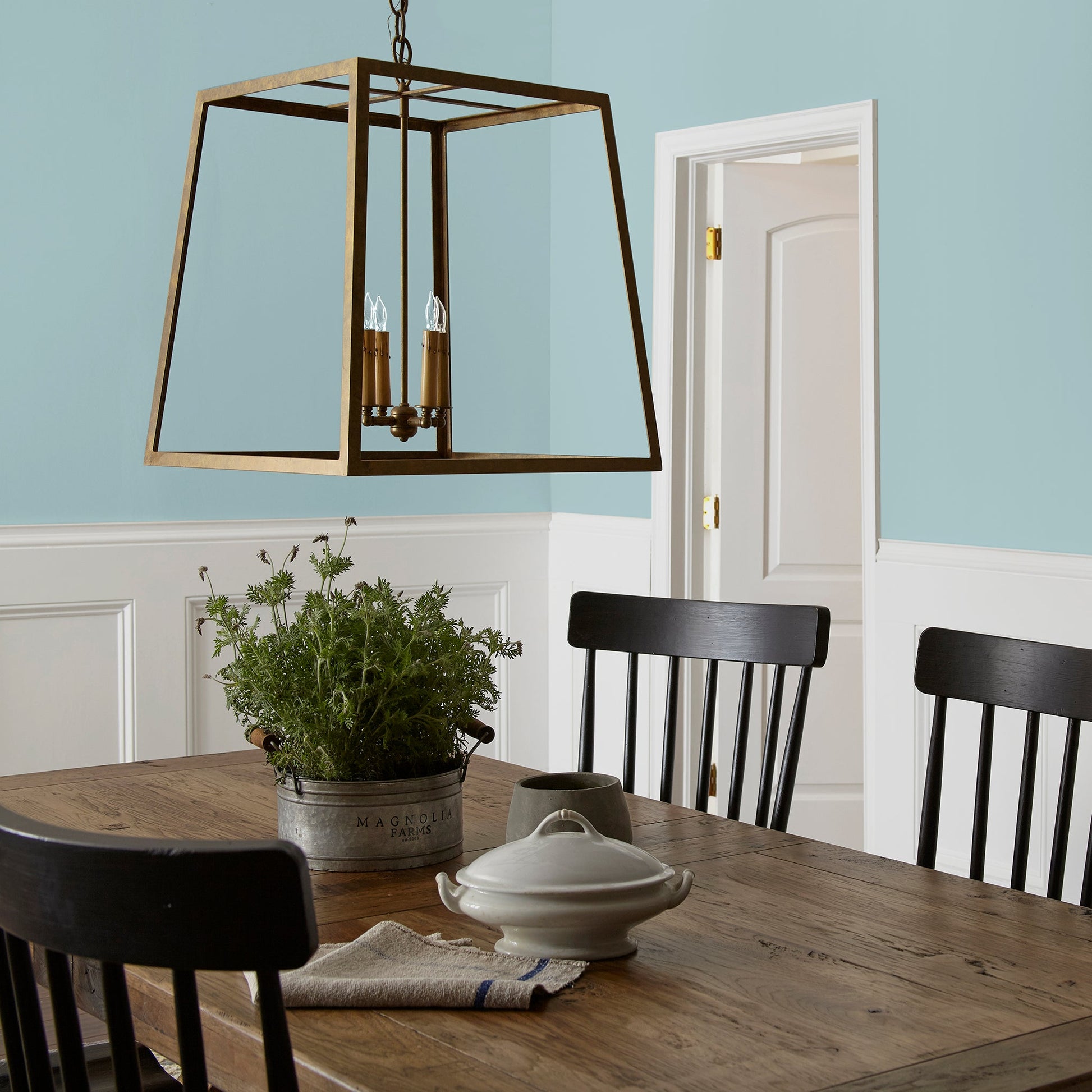 Vibrant Horizon  -  Premium Interior Paint