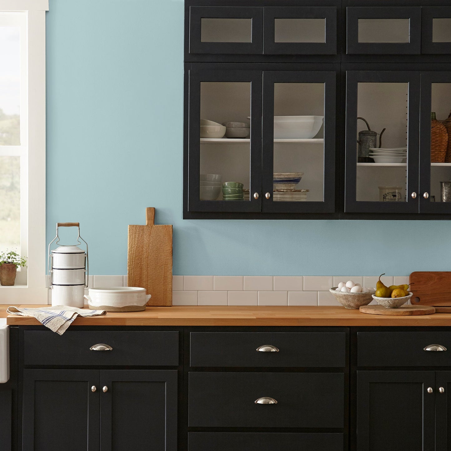 Vibrant Horizon  -  Premium Interior Paint