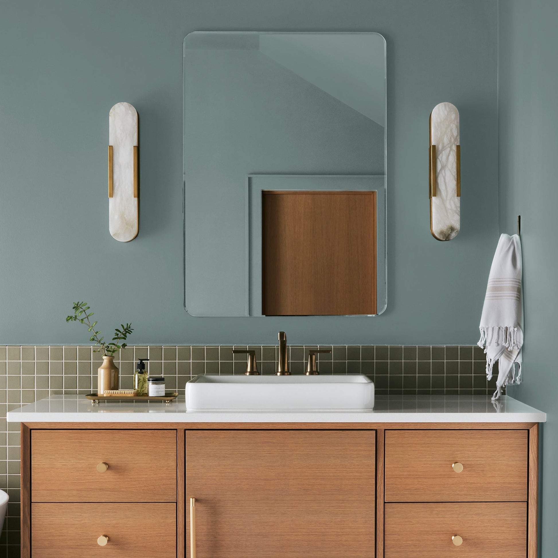 Well Watered  -  Premium Interior Paint