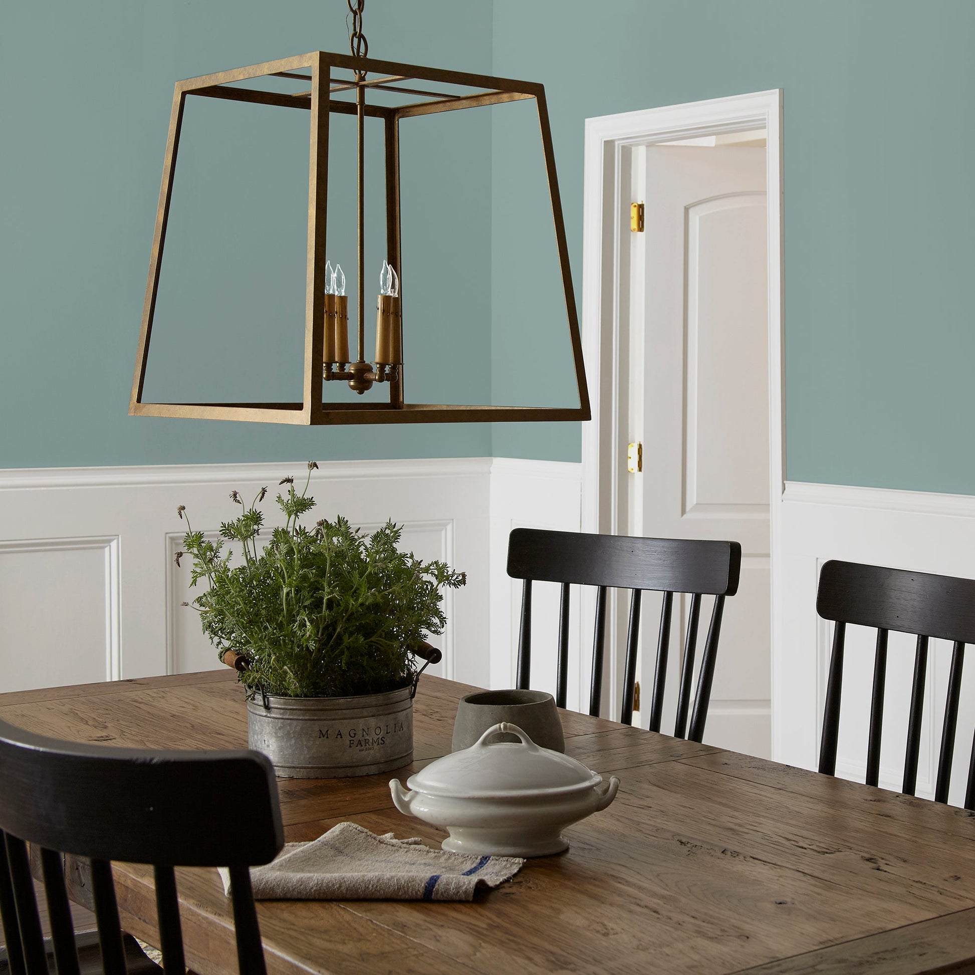 Well Watered  -  Premium Interior Paint