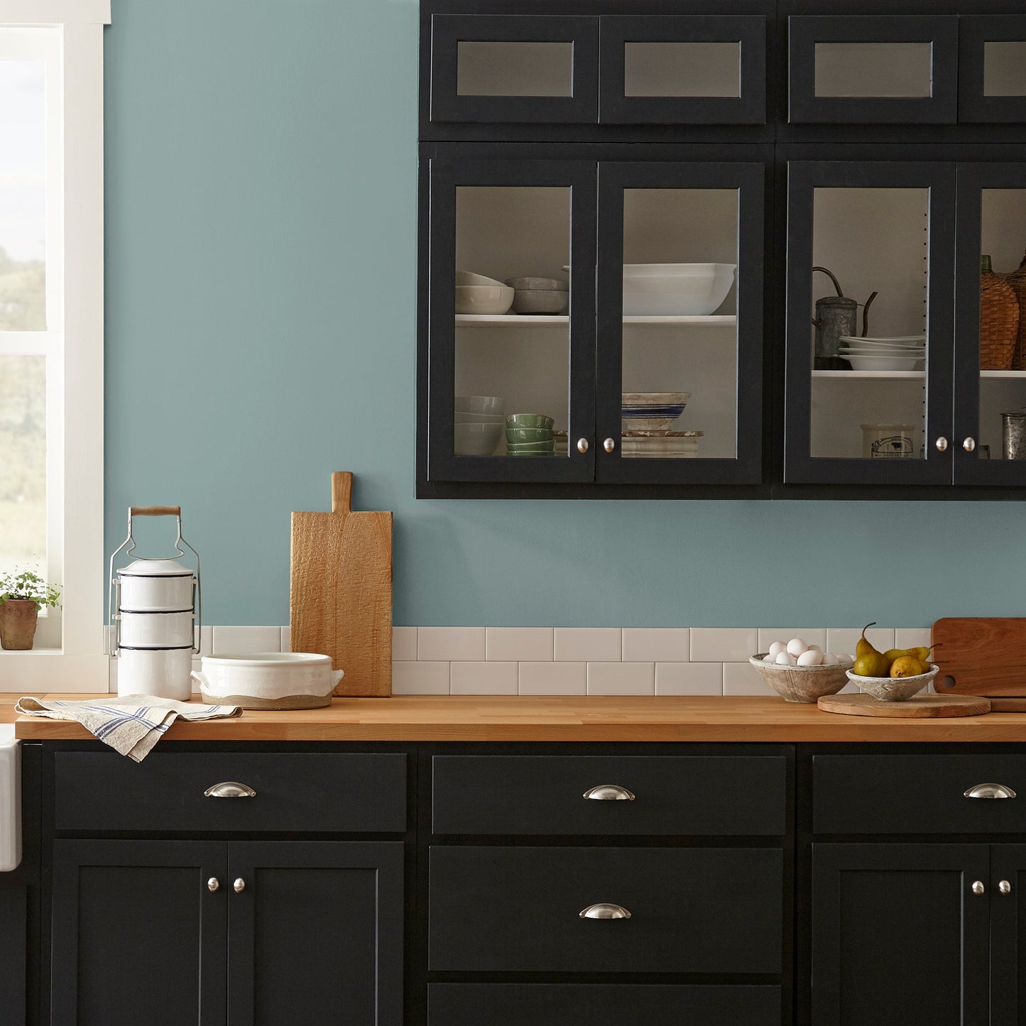 Well Watered  -  Premium Interior Paint