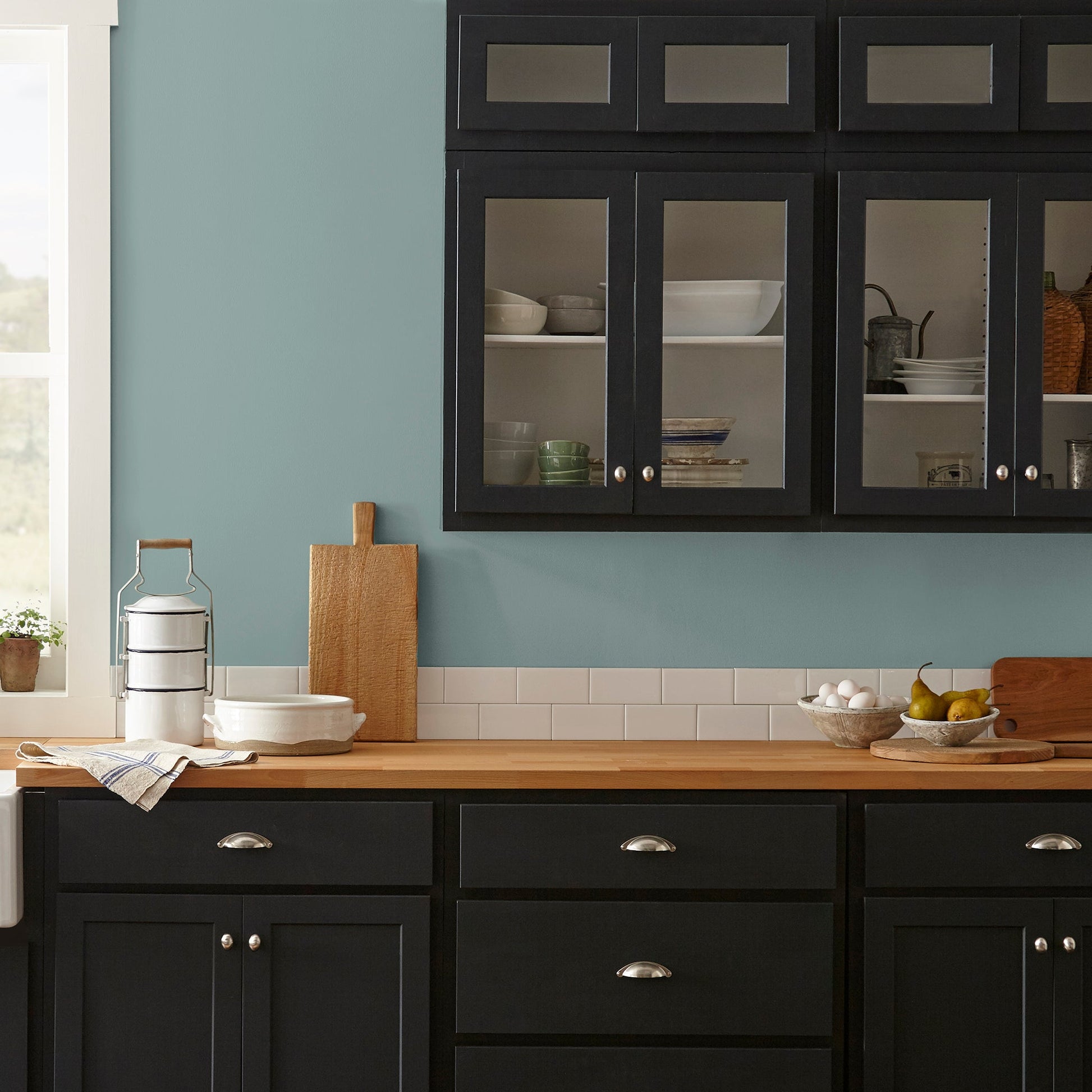Well Watered  -  Premium Interior Paint