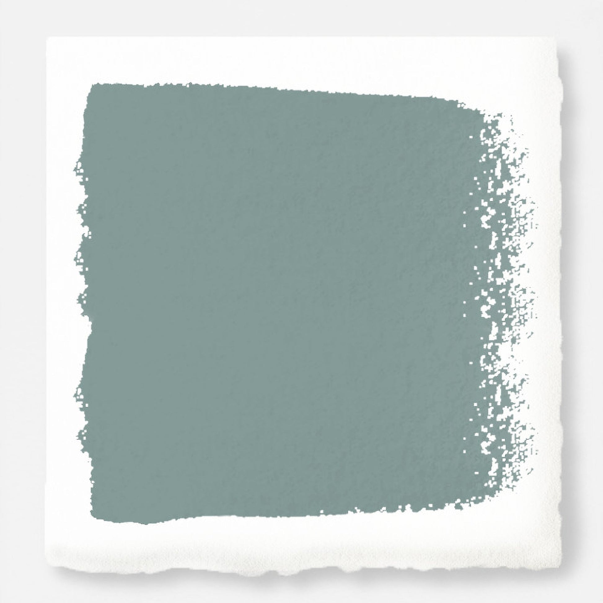 Well Watered -  Classic Interior Paint