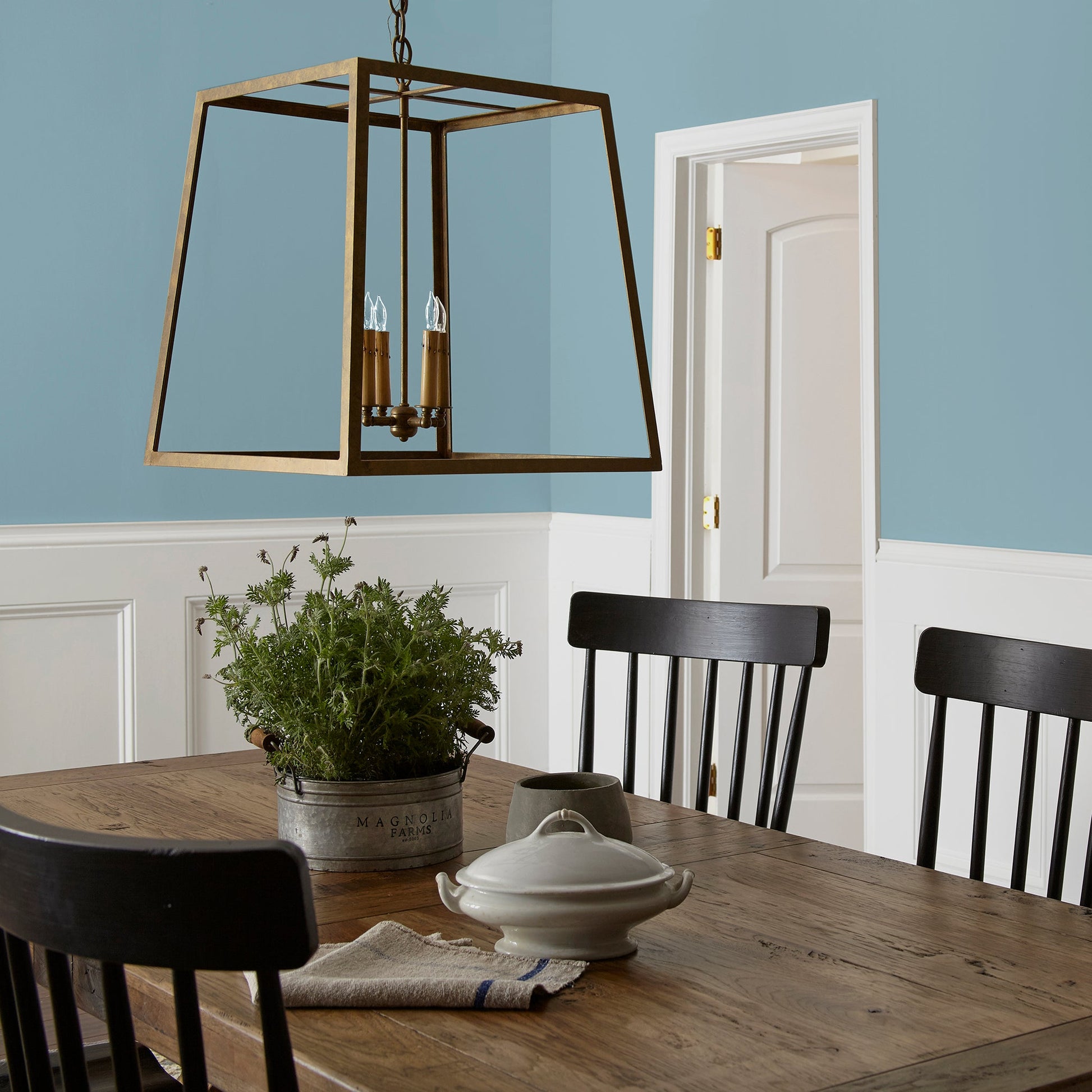 Winter Solstice  -  Premium Interior Paint