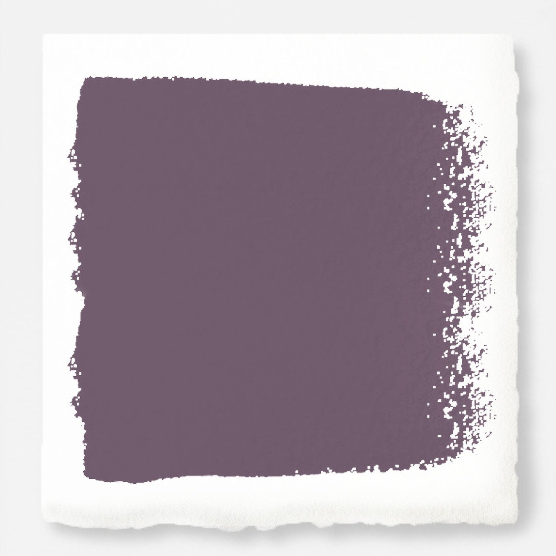 Webster Avenue -  Classic Interior Paint