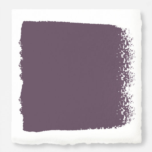 Webster Avenue -  Classic Interior Paint