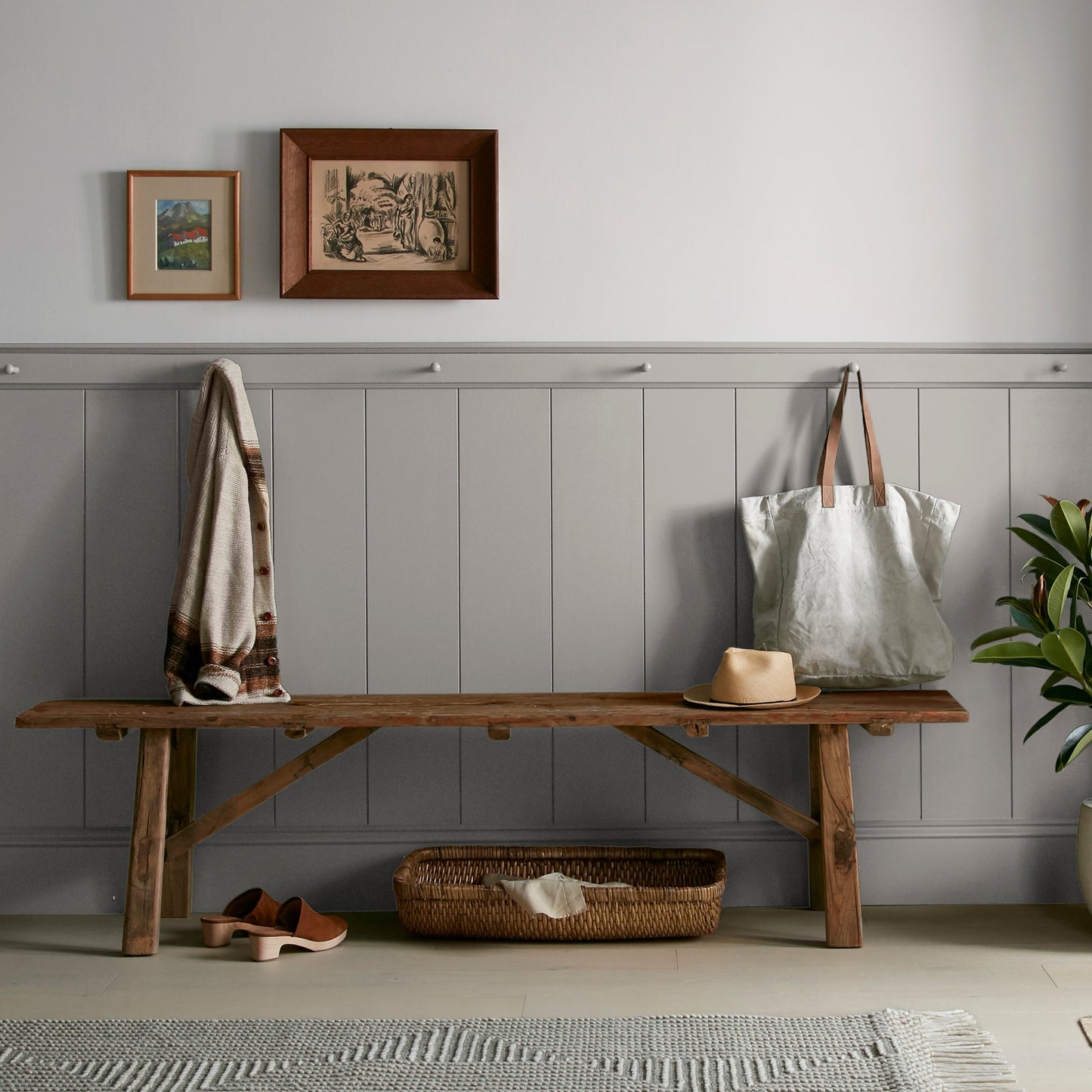 Watering Can  -  Premium Interior Paint