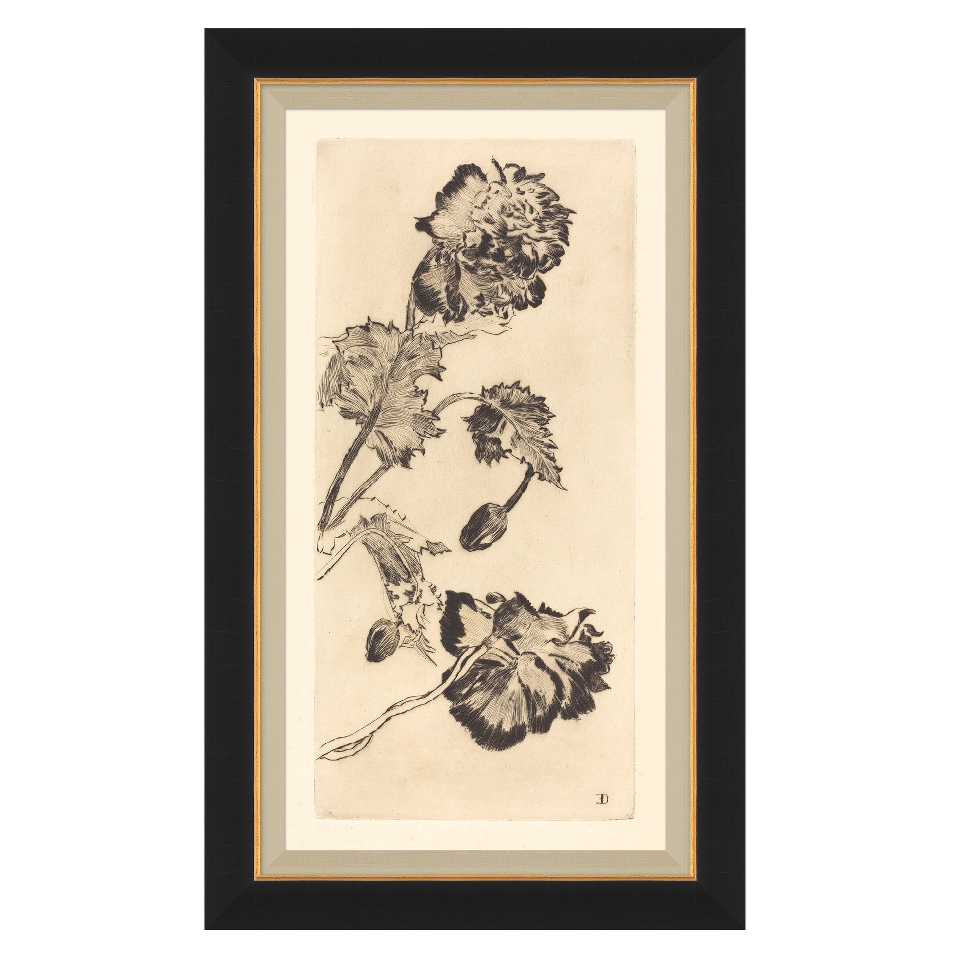 Vintage Peony I
