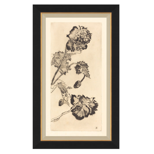 Vintage Peony I