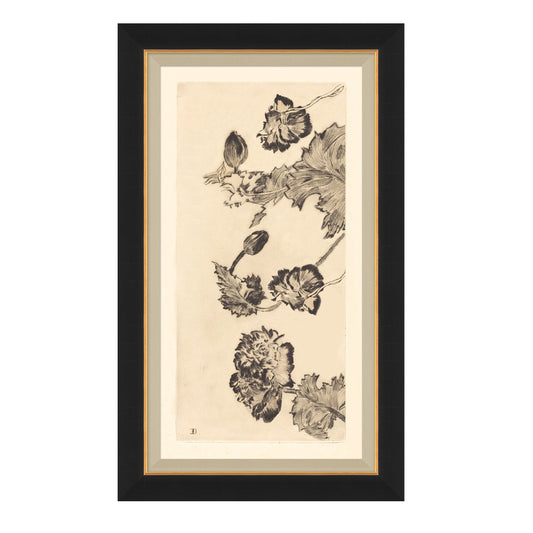 Vintage Peony II