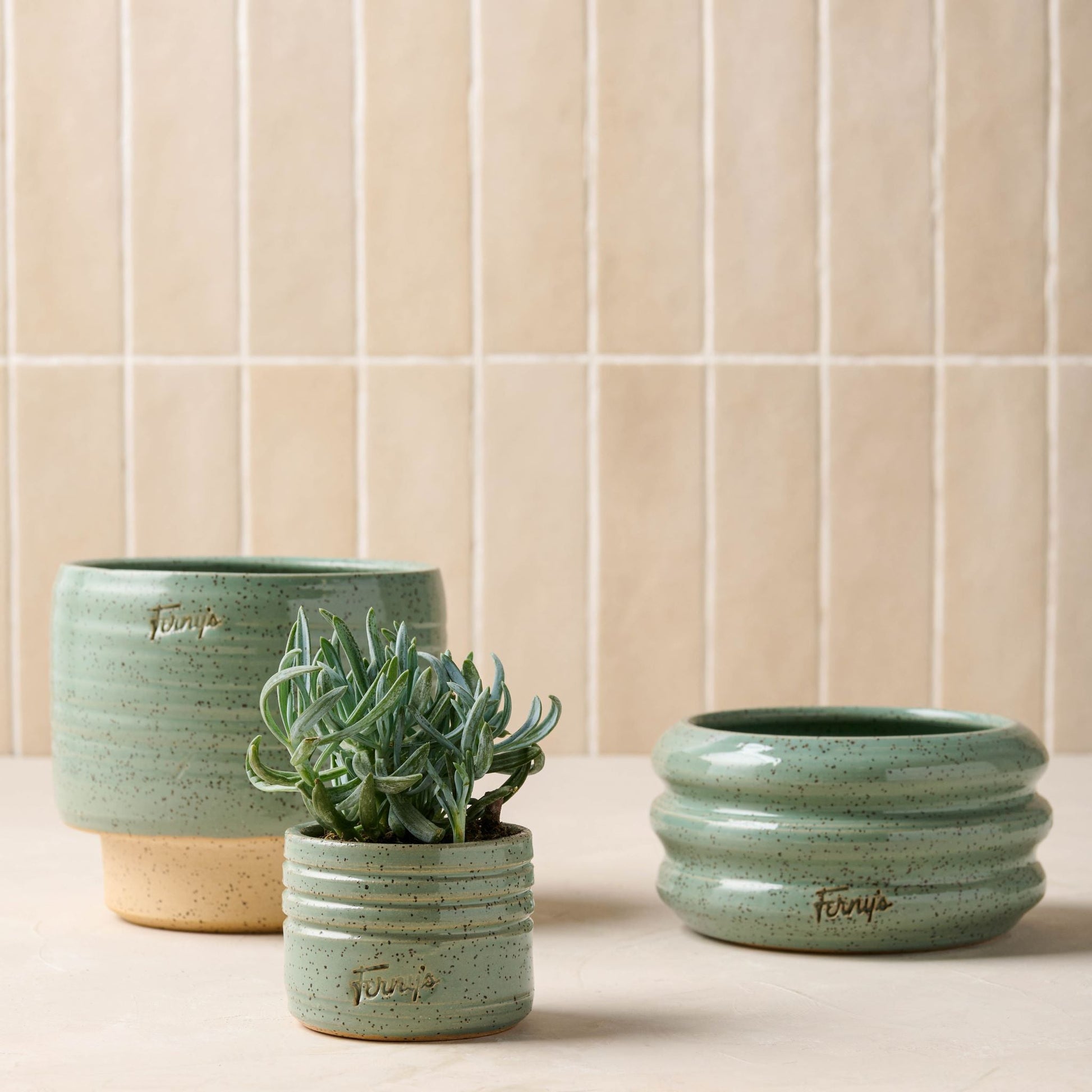 Black Oak Ferny's Small Blue Speckle Planter