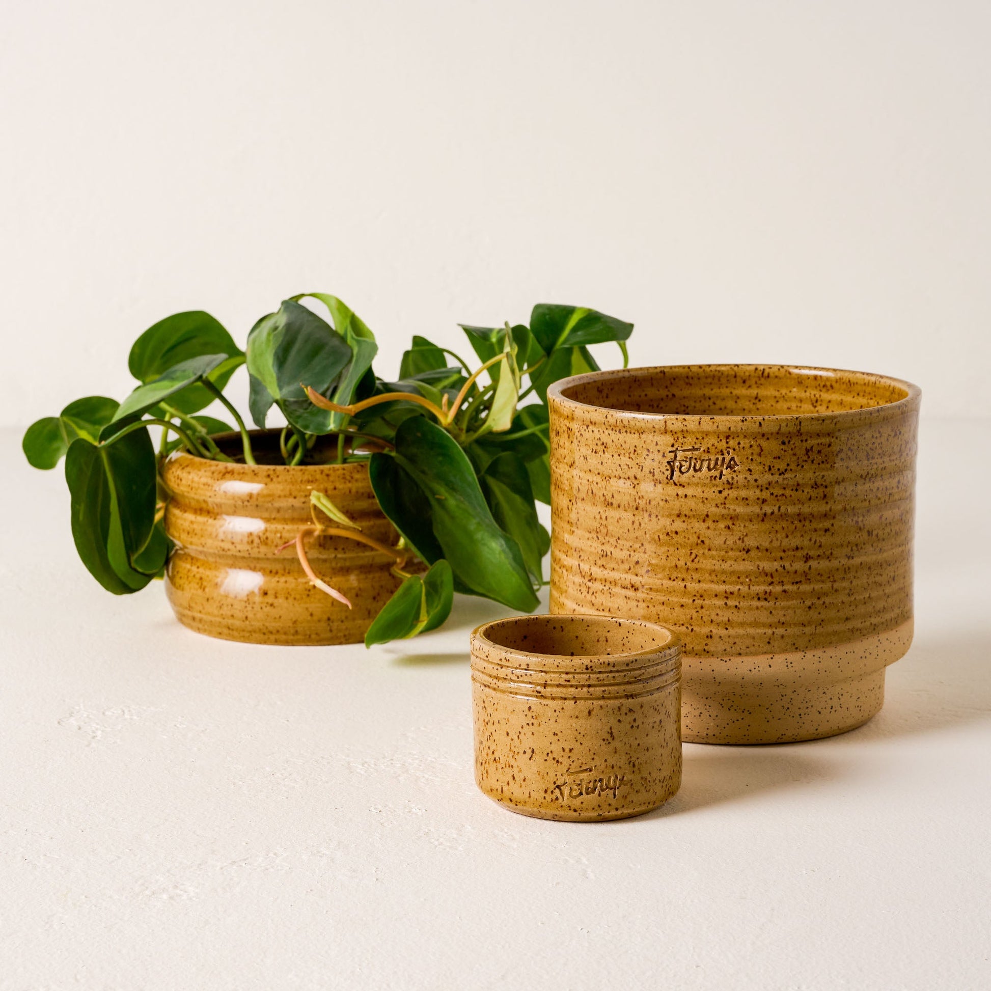 Black Oak Ferny's Small Speckle Planter Mustard