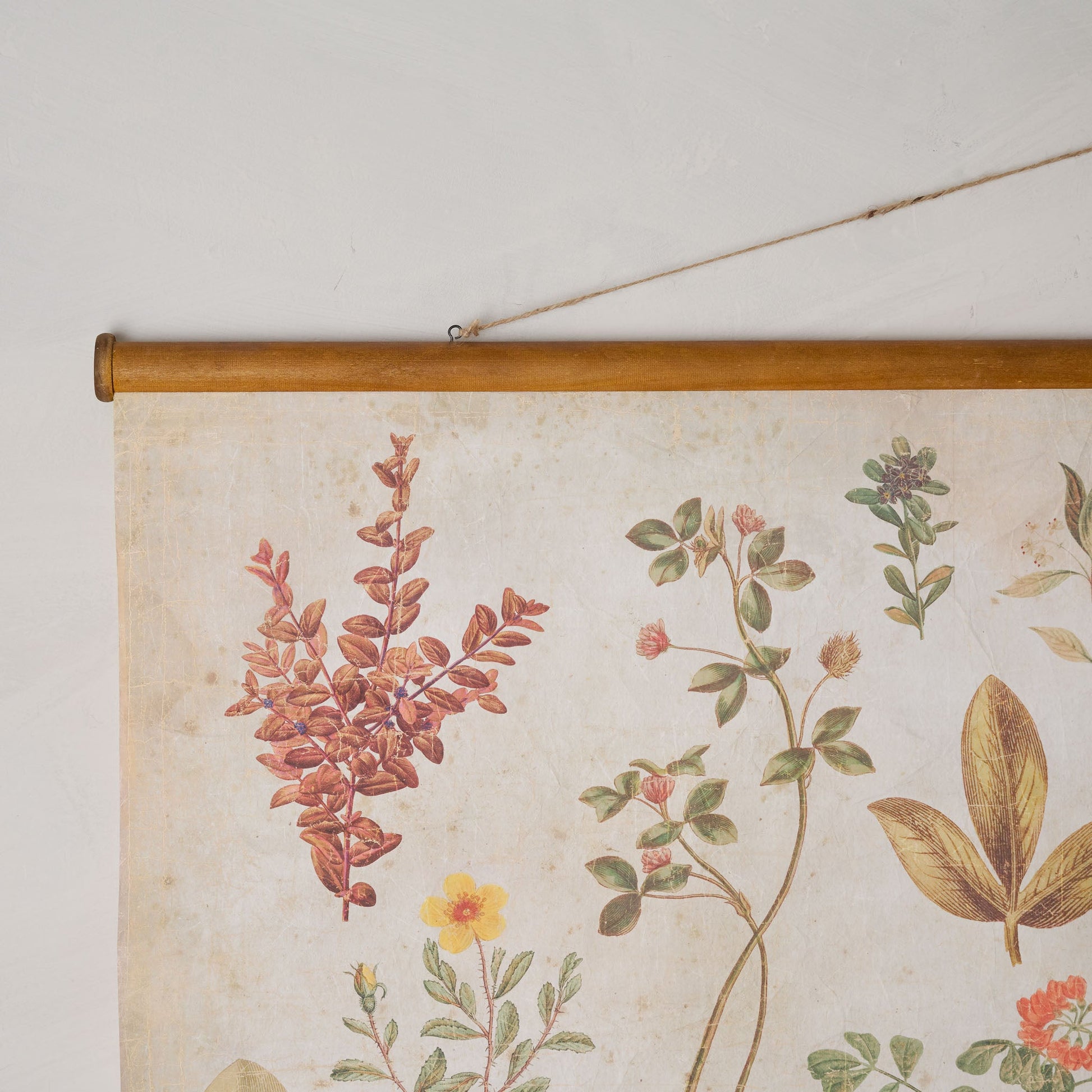 Botanical Study Tapestry
