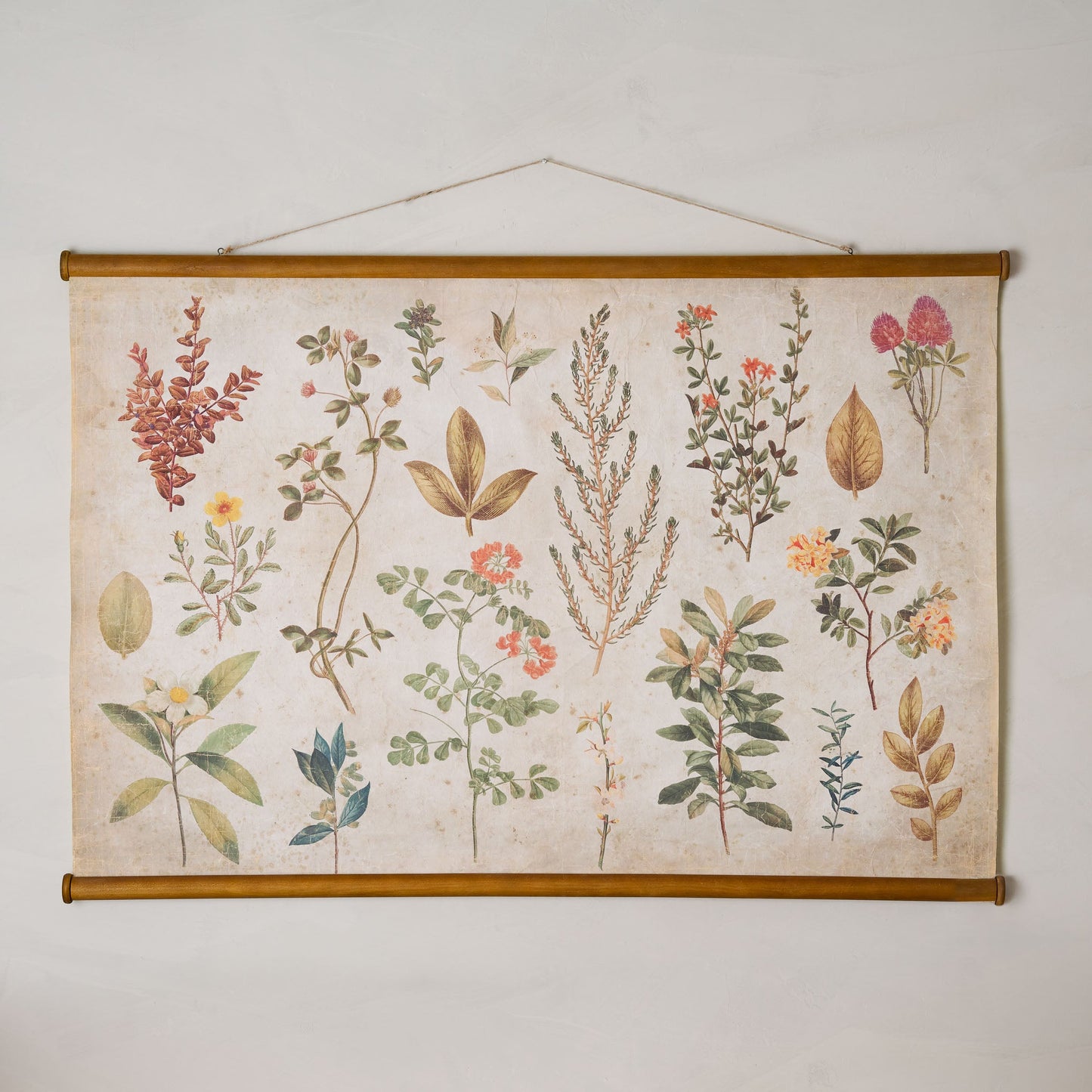 Botanical Study Tapestry