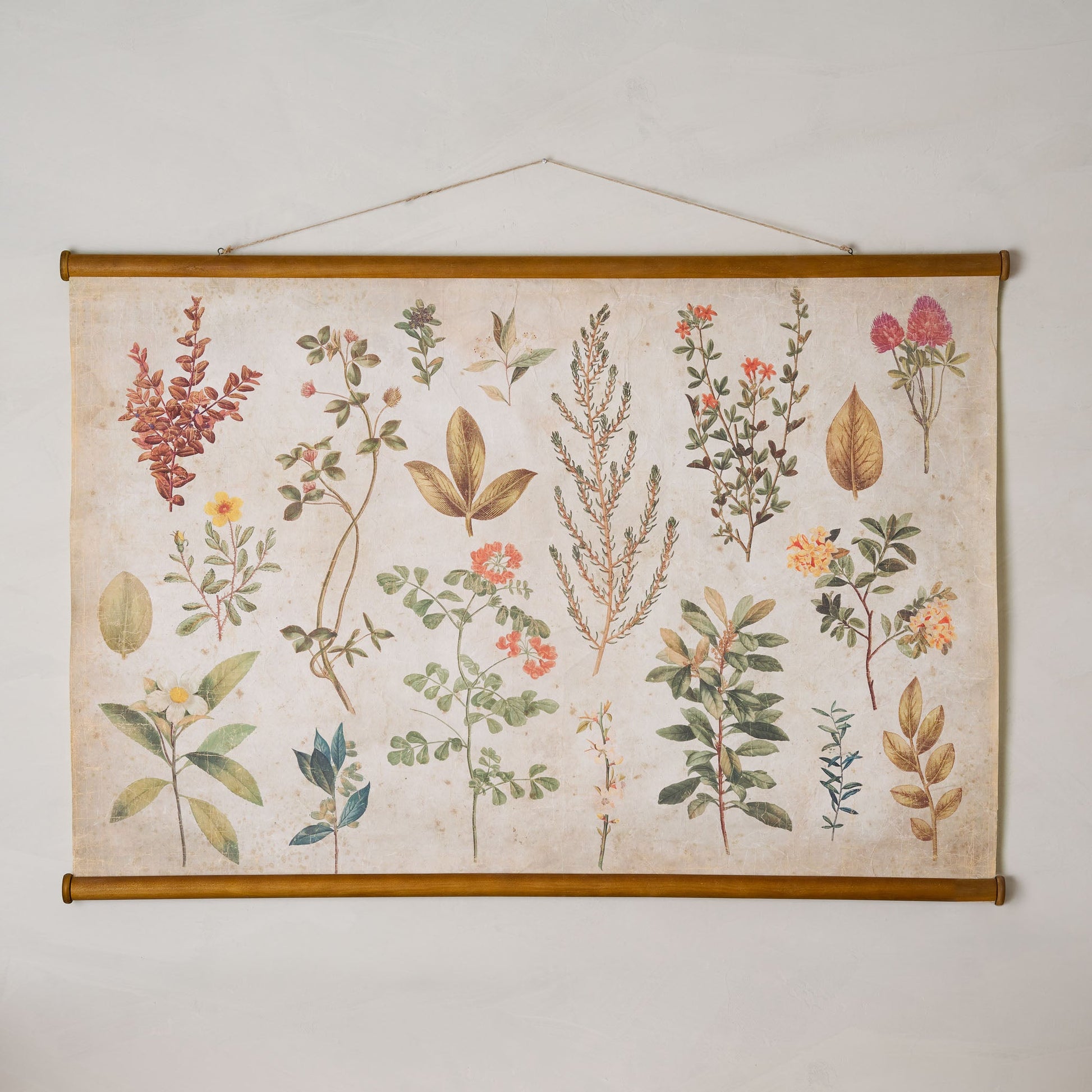Botanical Study Tapestry