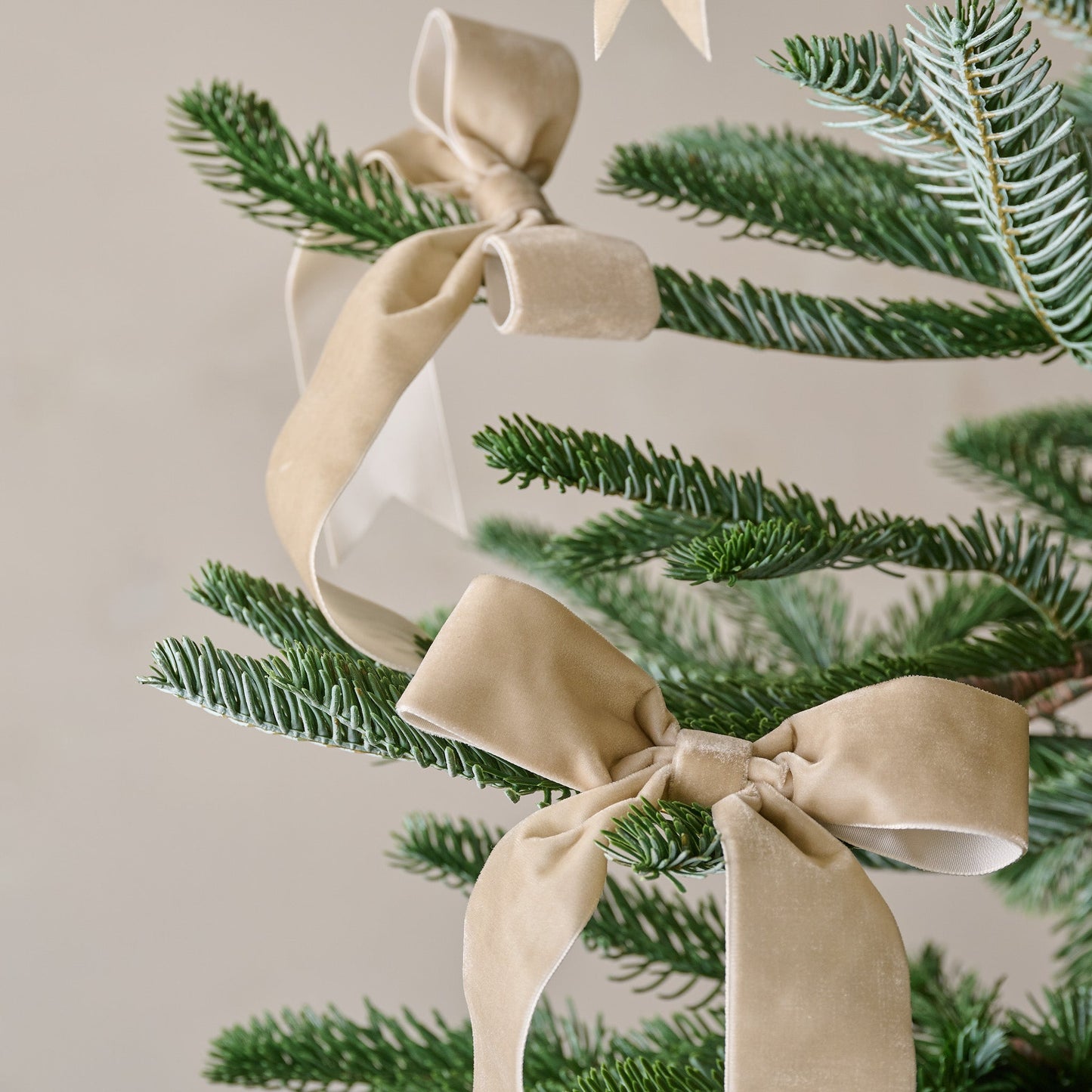 Velvet Bow Ornament Clip, Set of 8