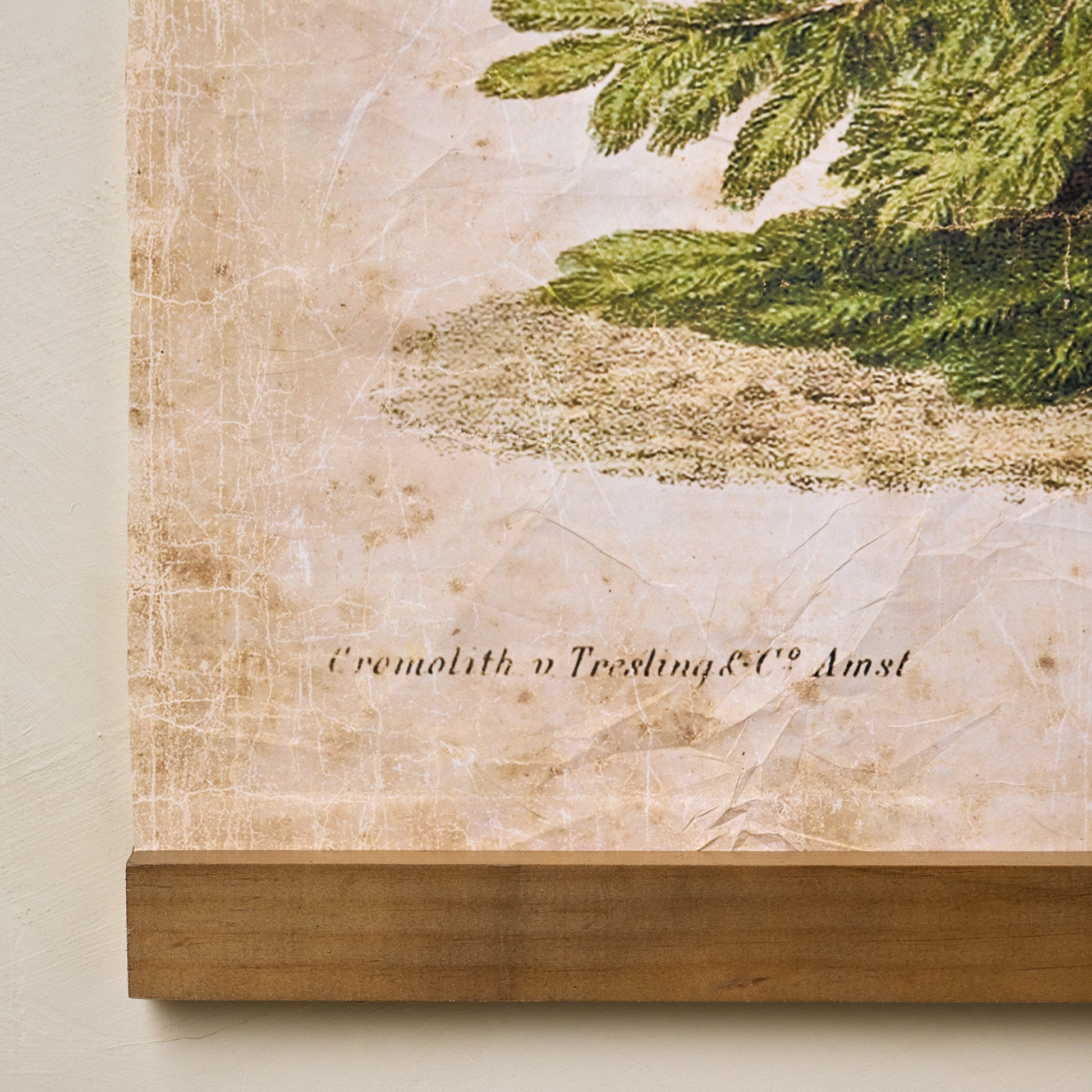 Vintage Christmas Fir Tapestry