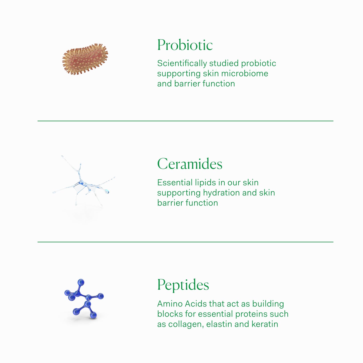 BARRIER CULTURE MOISTURIZER