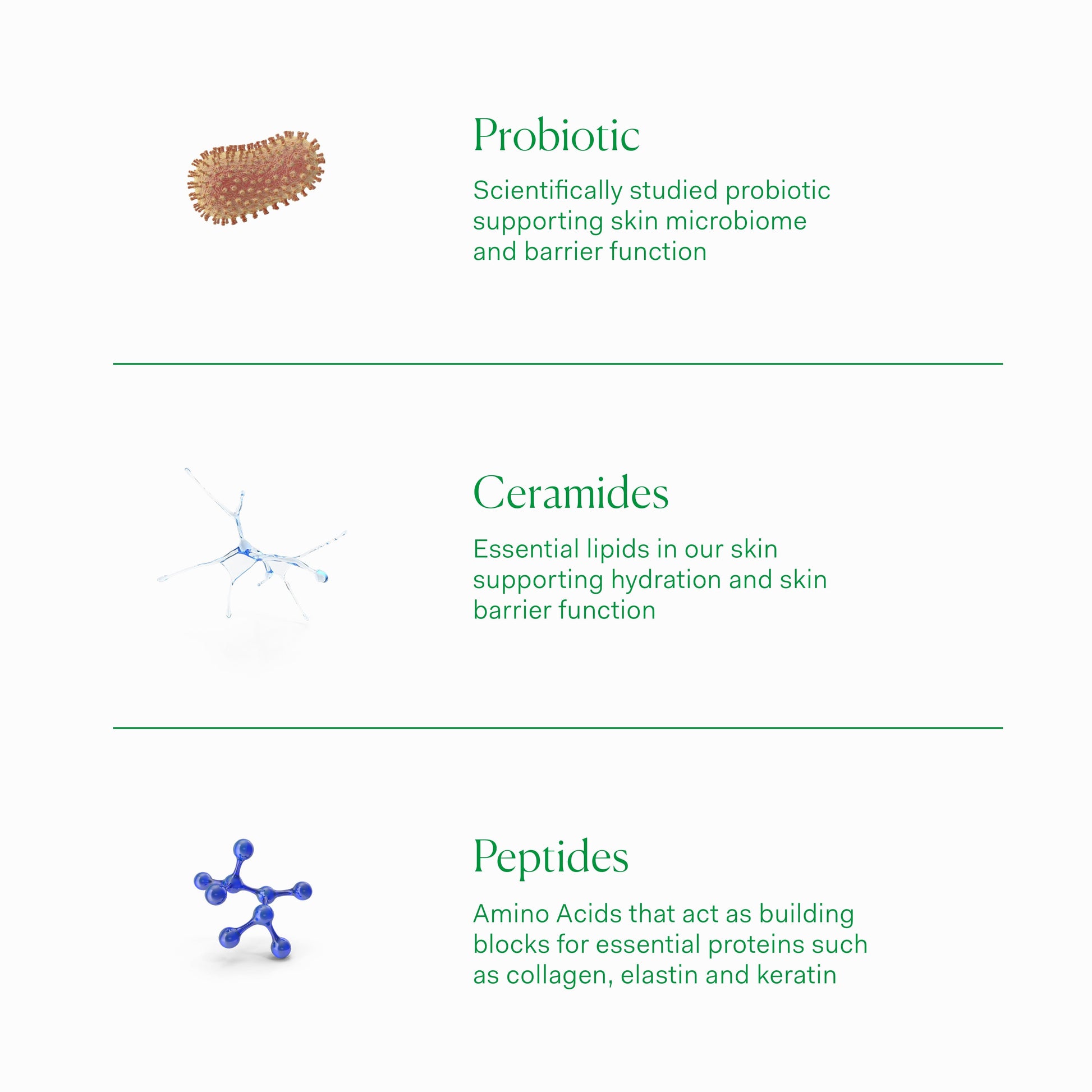 BARRIER CULTURE MOISTURIZER