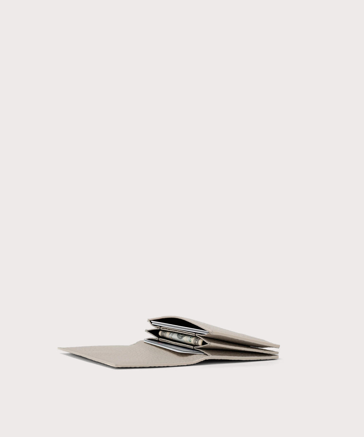 Accordion Card Case in Bone