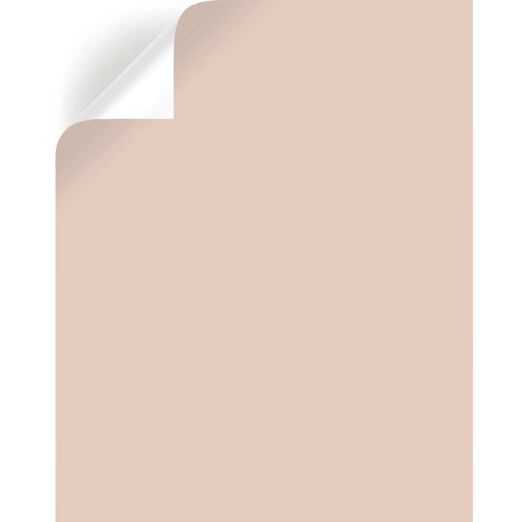 Ella Rose  -  Premium Interior Paint