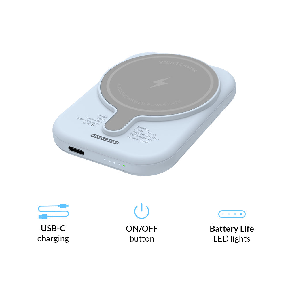 Winter Wonderland Baby Animals MagSafe Battery Power Pack